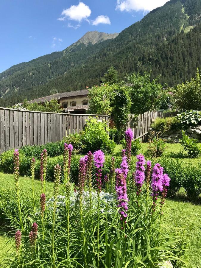 Apartments Schneiterhof - Der Frei-Raum Neustift im Stubaital Bagian luar foto