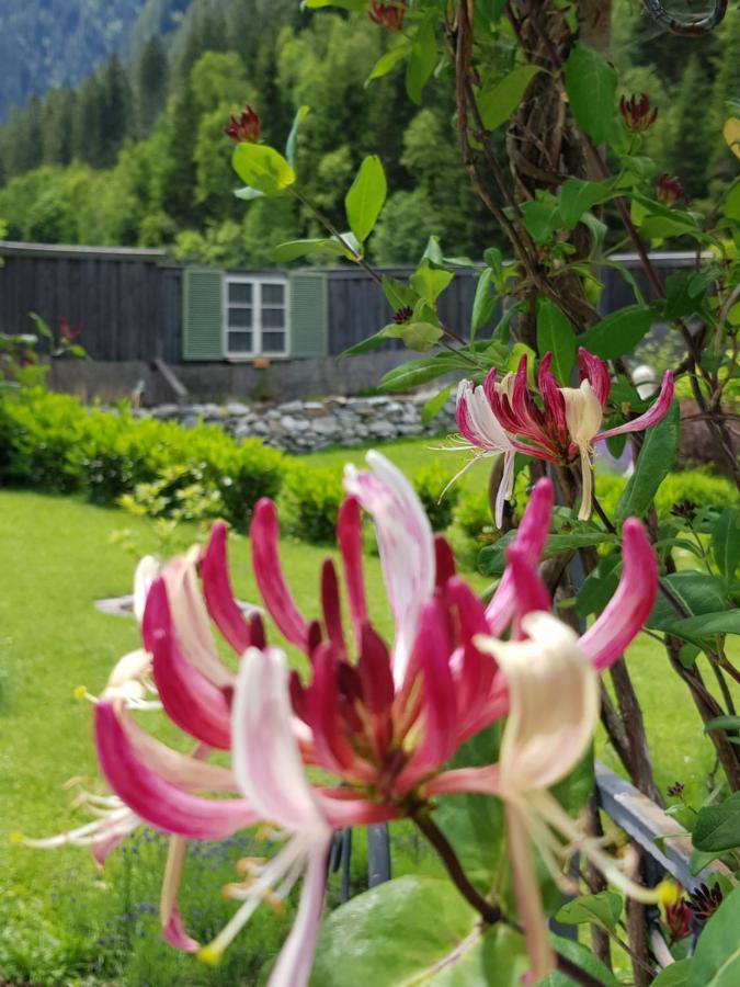 Apartments Schneiterhof - Der Frei-Raum Neustift im Stubaital Bagian luar foto