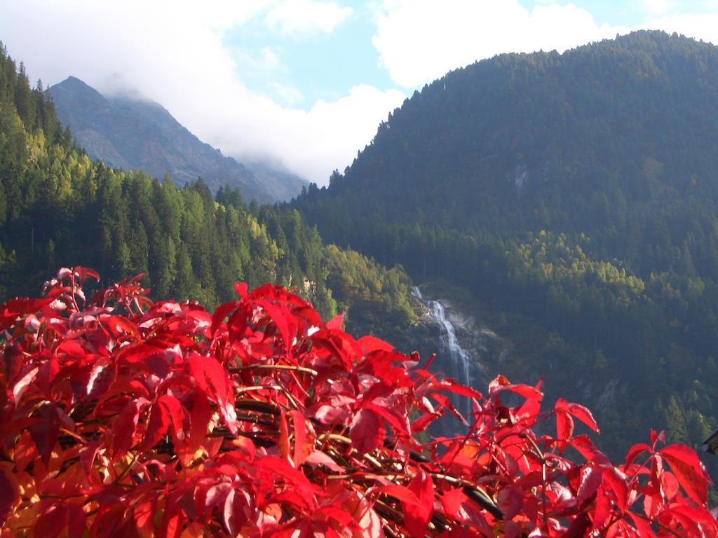 Apartments Schneiterhof - Der Frei-Raum Neustift im Stubaital Bagian luar foto