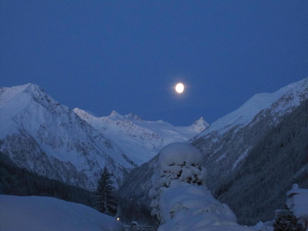 Apartments Schneiterhof - Der Frei-Raum Neustift im Stubaital Bagian luar foto